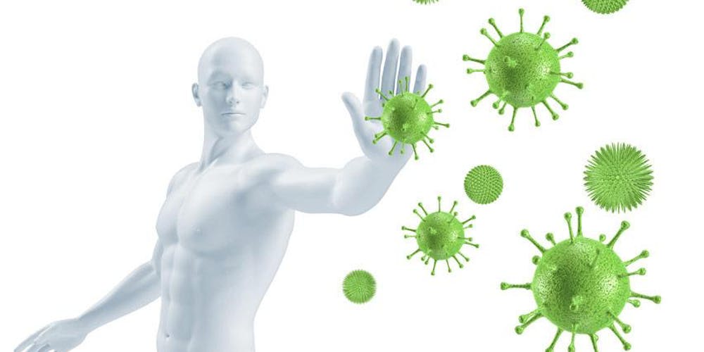 CBD ET ORGANSIME