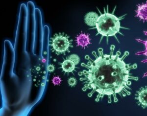 CBD ET SYSTEME IMMUNITAIRE