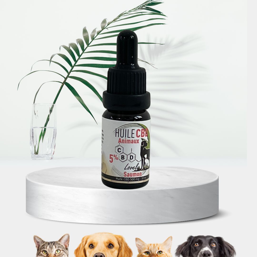 Huile CBD 5% Animaux - Saumon (+ de 30 Kg) 1 HUILE CBD 5% ANIMAUX POUR CHAT ET ANIMAUX - SAUMON | CBD LOVELY PARIS -VILLIERS