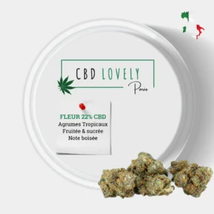FLEUR CBD RUNTZ MUFFIN CBD PREMIUM - CBD SHOP PARIS | CBD LOVELY