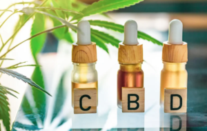 Stress et Anxiété : Découvrez les Bienfaits de l'Huile de CBD