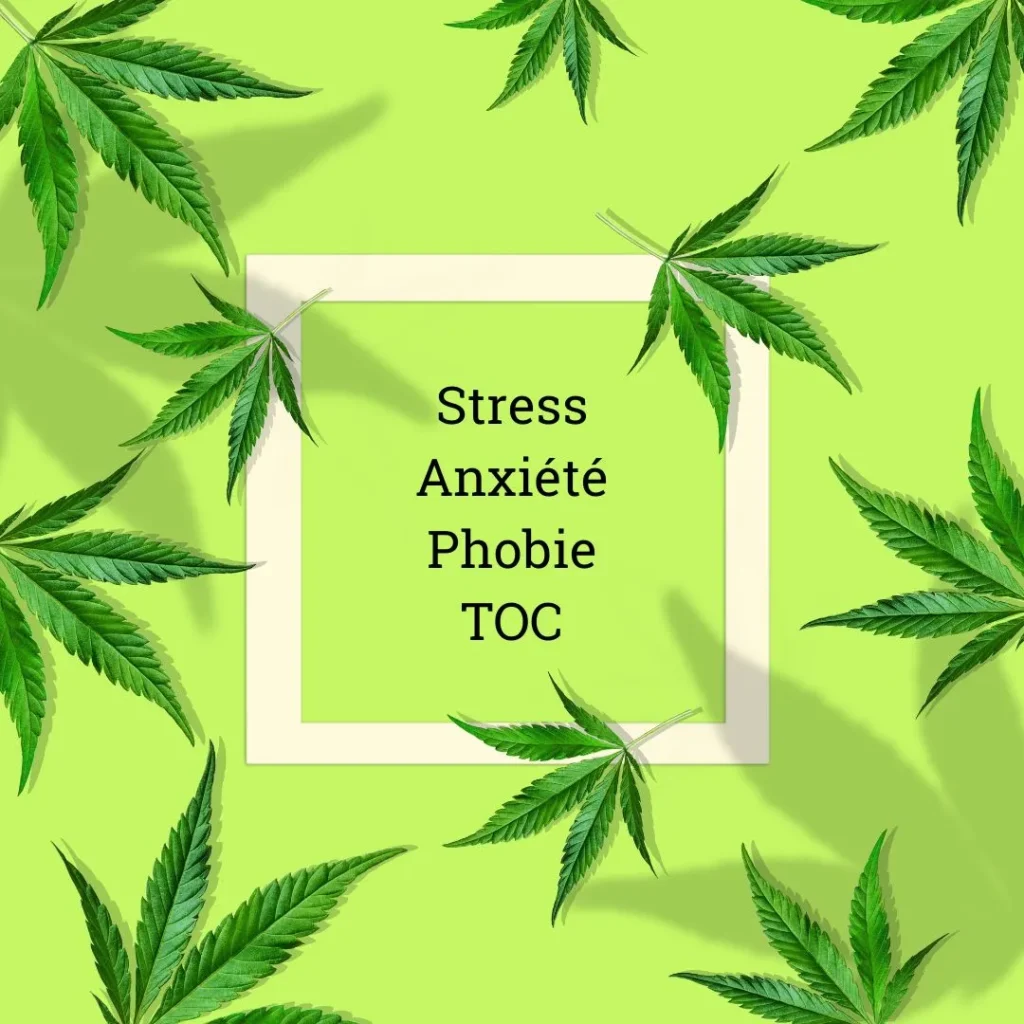 L'huile de CBD : Une solution naturelle pour apaiser les phobies et les TOC