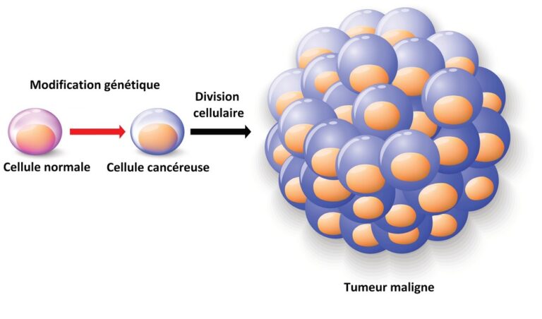 COMPRENDRE LE CANCER