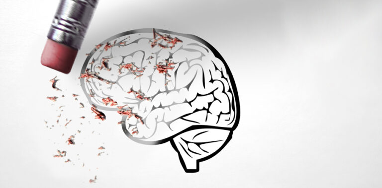 Cerveau 906x447 1