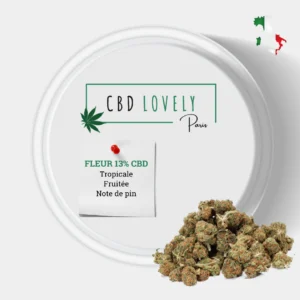 FLEUR CBD BABY BUDS TEQUILA SUNRISE - CBD SHOP PARIS | CBD LOVELY