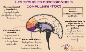 TOC ET ETUDE SCIENTIFIQUE DU CBD | CBD LOVELY