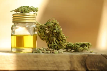 Guide Ultime du CBD pour les Débutants | CBD LOVELY