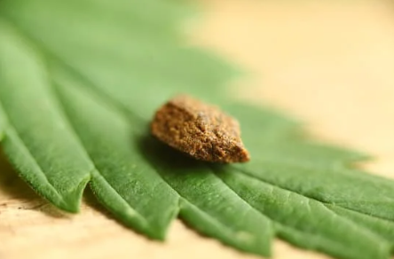 Comment la résine CBD peut soulager la douleur chronique et l'anxiété : Guide complet