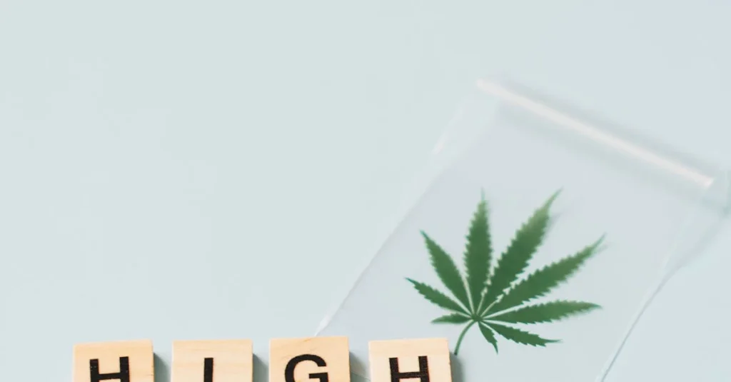 Le CBD : Une Substance Adaptogène Révolutionnaire ?