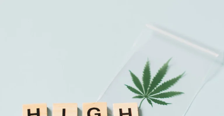 Le CBD : Une Substance Adaptogène Révolutionnaire ?