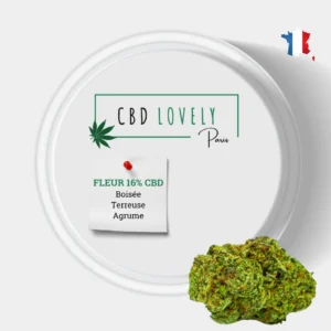 FLEUR CBD HPI CRITICAL CBD PREMIUM - CBD SHOP PARIS | CBD LOVELY