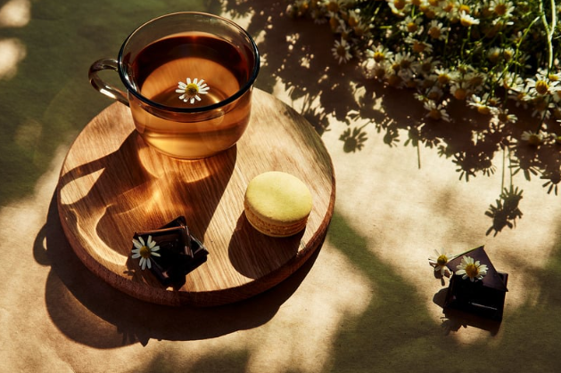 Recette : Infusion CBD & Romarin pour la Concentration | CBD LOVELY Paris
