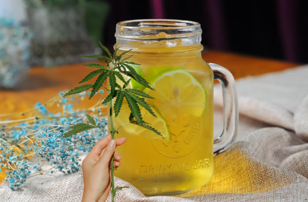 Thé Détox Citron & Fleurs de CBD | CBD LOVELY