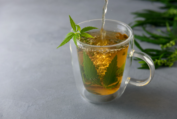 Recette Tisane fleur de cbd - CBD LOVELY