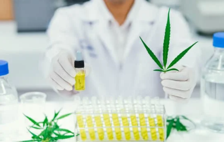 Etudes scientifiques sur les bienfaits du CBD