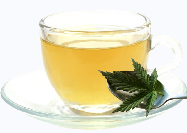Recette : Infusion CBD & Échinacée pour l’Immunité | CBD LOVELY Paris