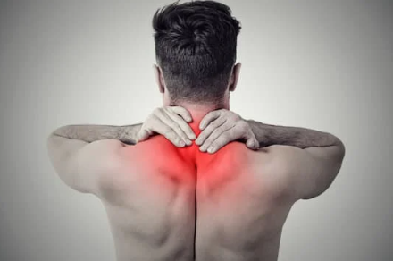 Comprendre le Système Endocannabinoïde : Son Rôle Clé dans la Modulation de la Douleur