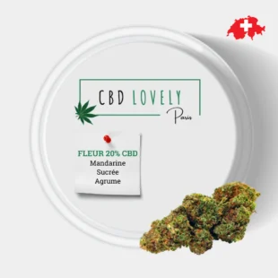 WHITE CRITICAL FLEUR CBD - CBD LOVELY Paris