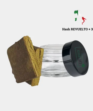 STATIC Hash CBD BOOSTE REVUELTO + | CBD LOVELY Paris