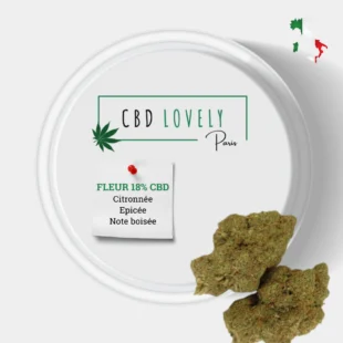 YELLOW BLAZE FLEUR CBD - CBD LOVELY Paris