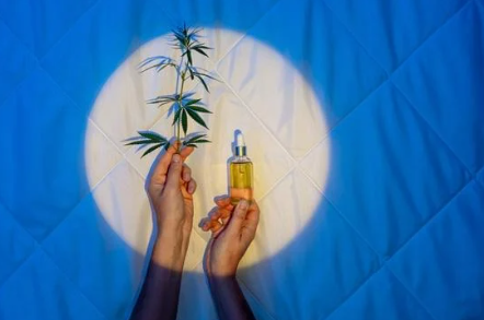 Dosage du CBD pour l'insomnie