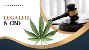 LEGALITE DU CBD E FRANCE