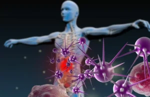 Système immunitaire et CBD : un équilibre complexe