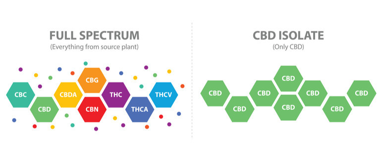 cbd isolat large spectre et spectre complet