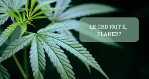 LE CBD FAIT IL PLANER