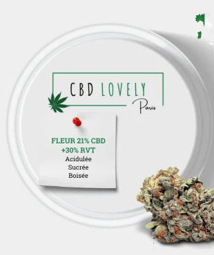 FLEUR CBD REVUELTO + 30% SAPHIR KUSH | CBD LOVELY Paris®