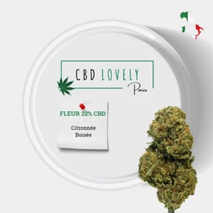 FLEUR CBD MIMOSA | CBD LOVELY PARIS