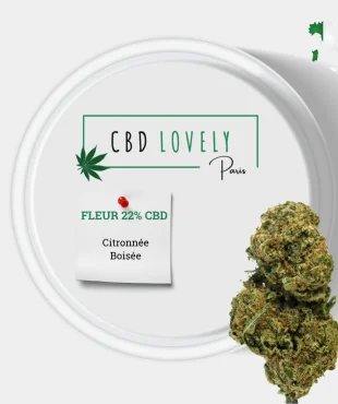 FLEUR CBD MIMOSA | CBD LOVELY PARIS