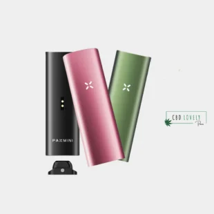 VAPORISATEUR MINI NEX PAX